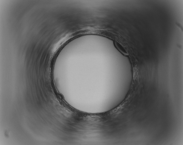 X0000103420150200809261715
