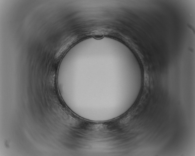 X0000103420153200809261715