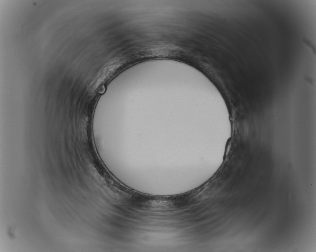X0000103420154200809261715