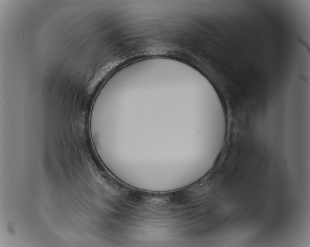 X0000103420155200809261715