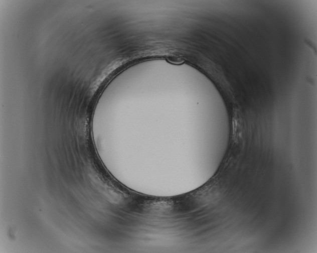 X0000103420156200809261715