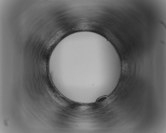 X0000103420158200809261715