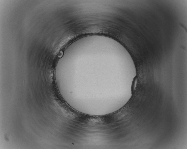 X0000103420160200809261715