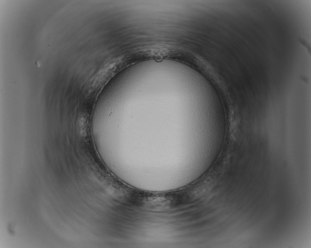 X0000103420161200809261715