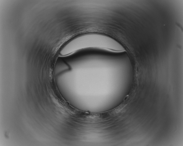 X0000103420164200809261715