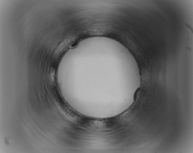 X0000103420166200809261715