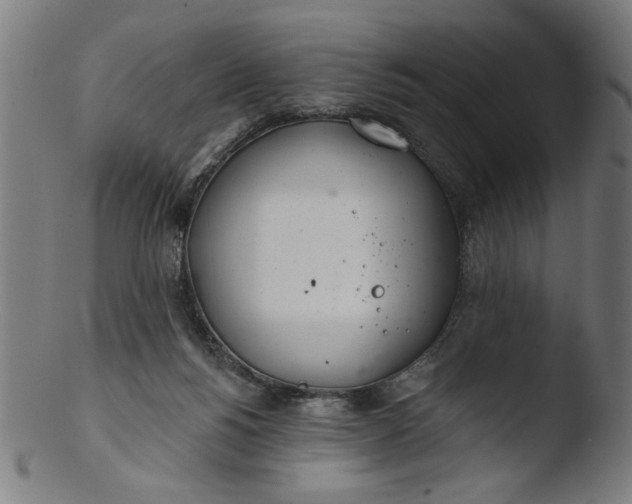 X0000103420168200809261715