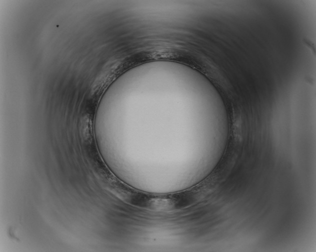 X0000103420169200809261715