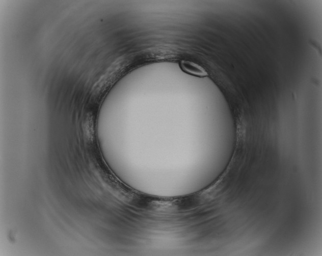 X0000103420170200809261715