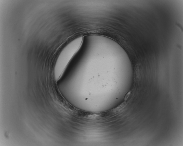 X0000103420172200809261716