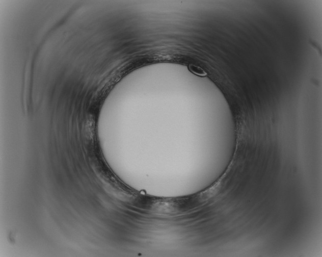 X0000103420174200809261716