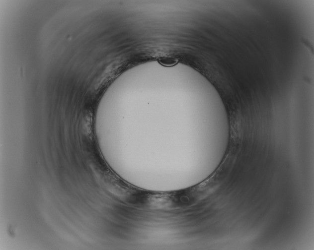 X0000103420175200809261716