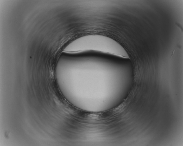 X0000103420176200809261716