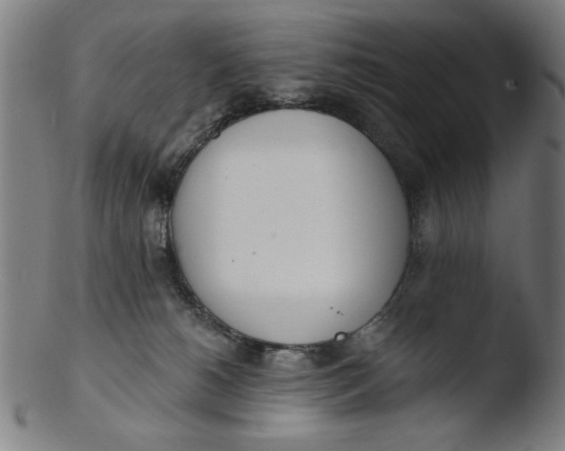 X0000103420180200809261716