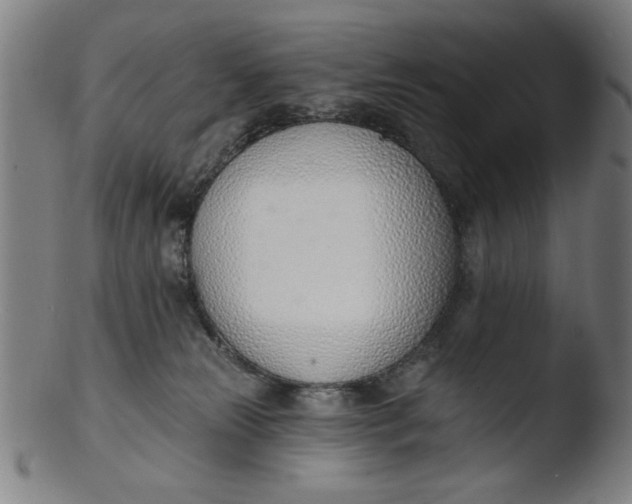 X0000103420181200809261716
