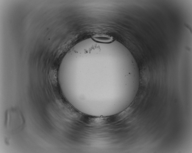 X0000103420184200809261716