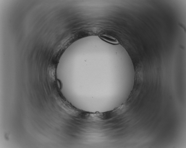 X0000103420188200809261716