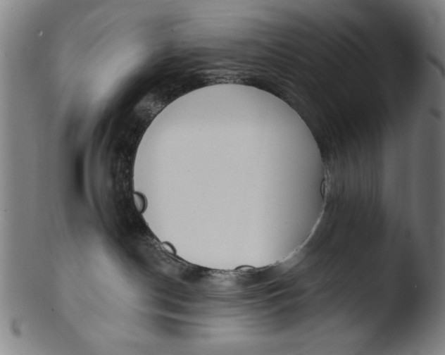 X0000103420190200809261716