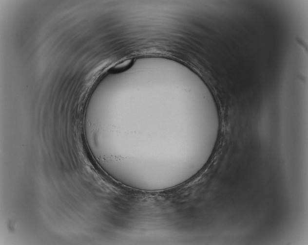 X0000103420193200809261715