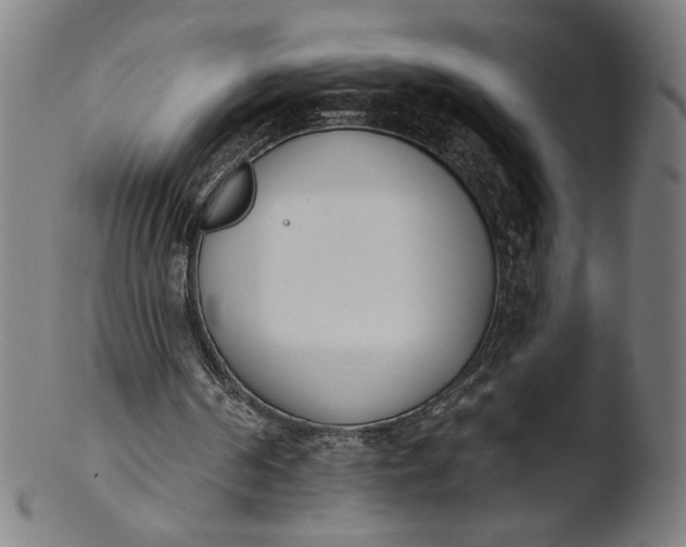 X0000103420194200809261715