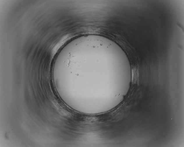 X0000103420195200809261715