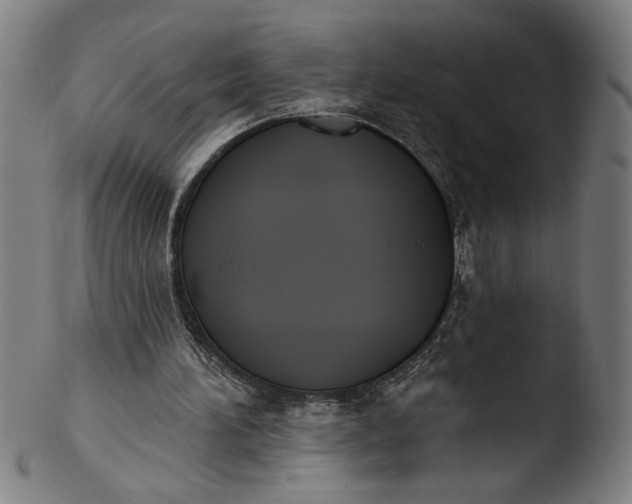 X0000103420196200809261715