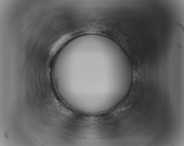 X0000103420197200809261715