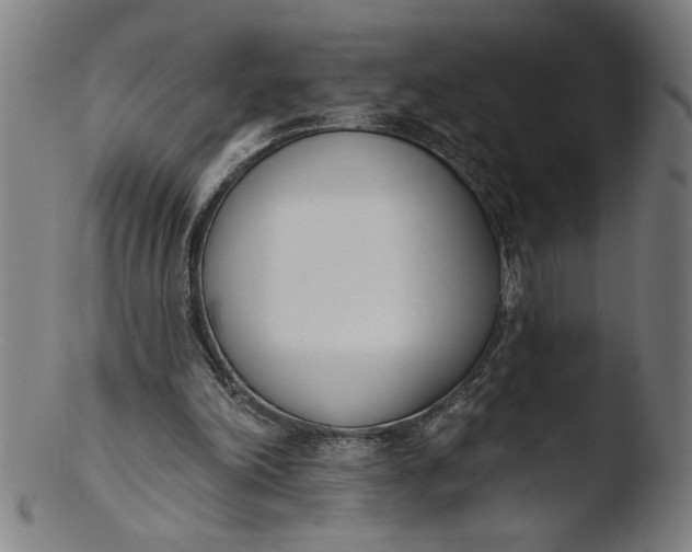 X0000103420198200809261715