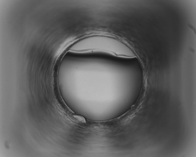 X0000103420199200809261715