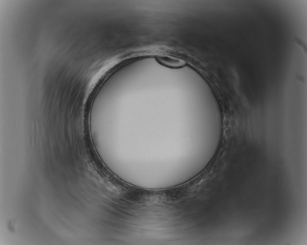 X0000103420200200809261715