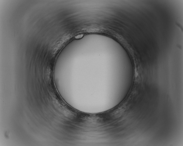X0000103420201200809261715