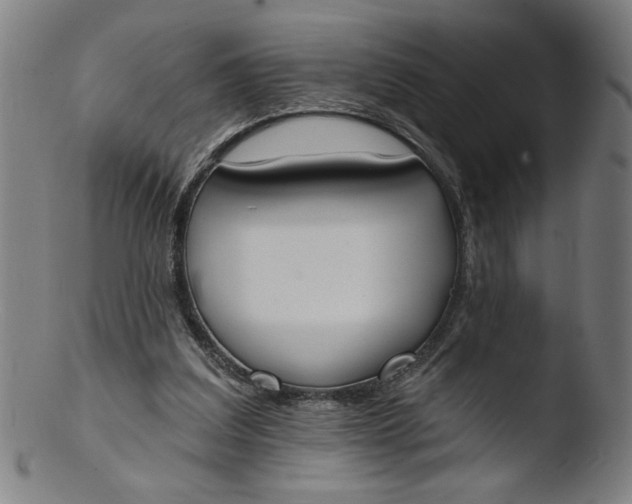 X0000103420203200809261715