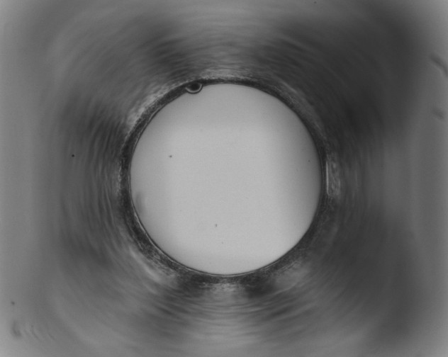 X0000103420204200809261715