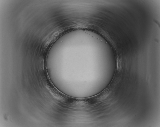 X0000103420205200809261715