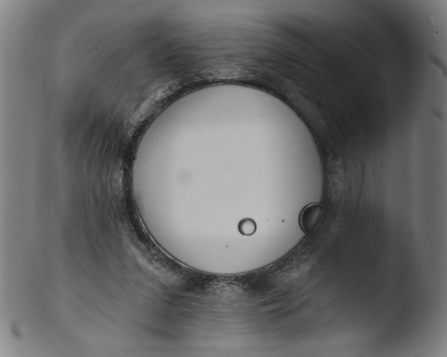 X0000103420207200809261715