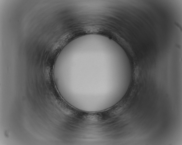 X0000103420209200809261715