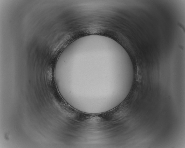 X0000103420210200809261715
