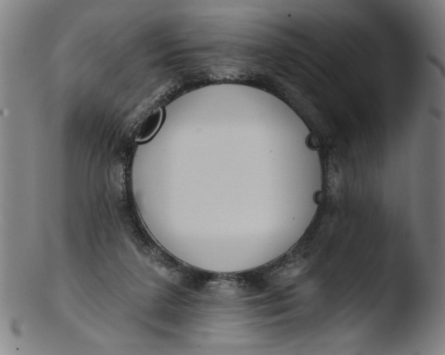 X0000103420211200809261715