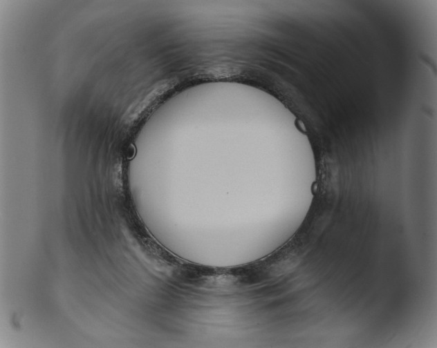 X0000103420212200809261715