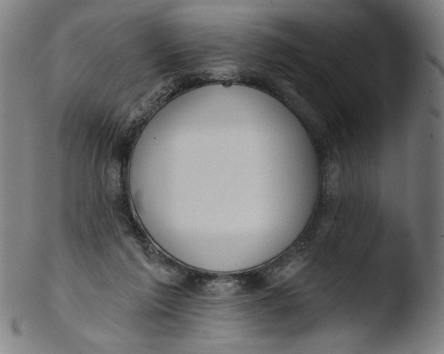 X0000103420213200809261715