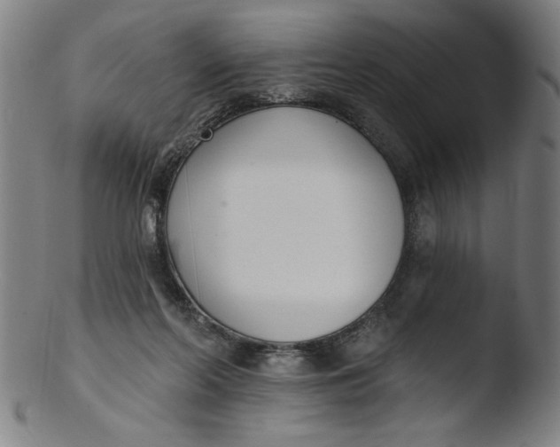 X0000103420214200809261715