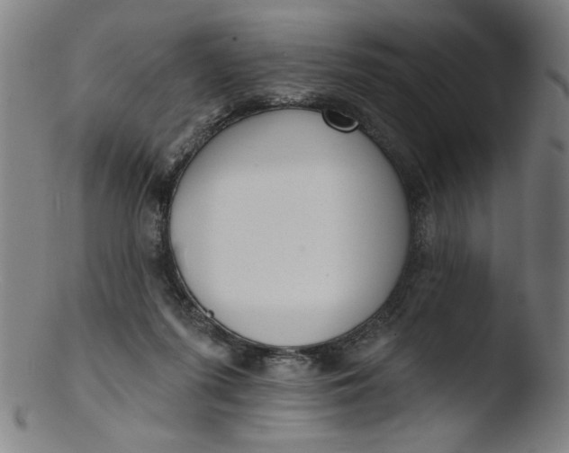 X0000103420215200809261715