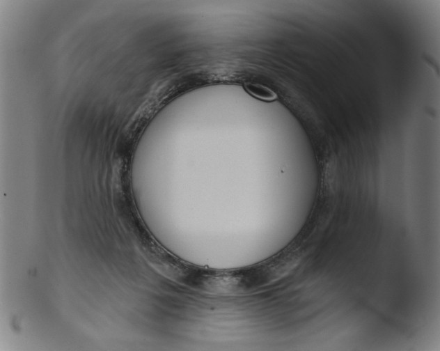 X0000103420217200809261715