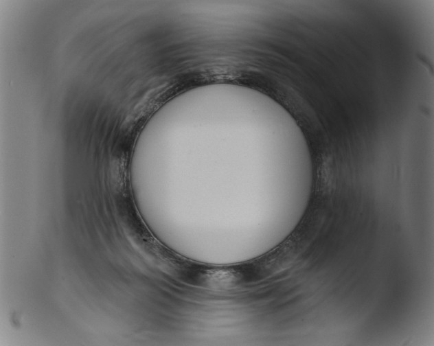 X0000103420218200809261715