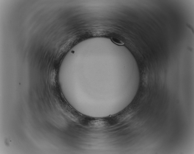 X0000103420219200809261715