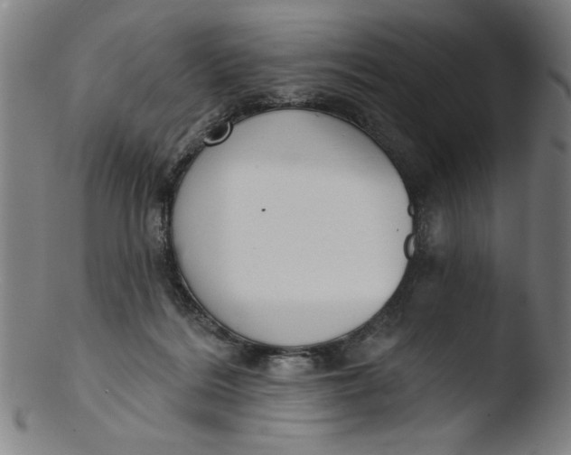 X0000103420220200809261715