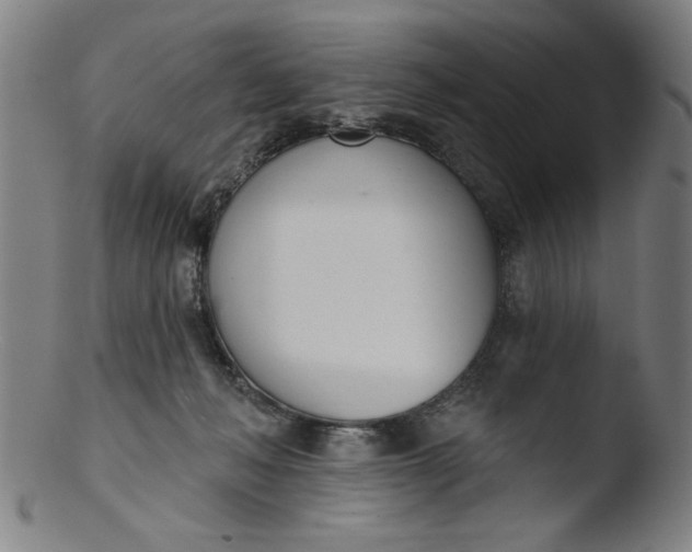 X0000103420222200809261715
