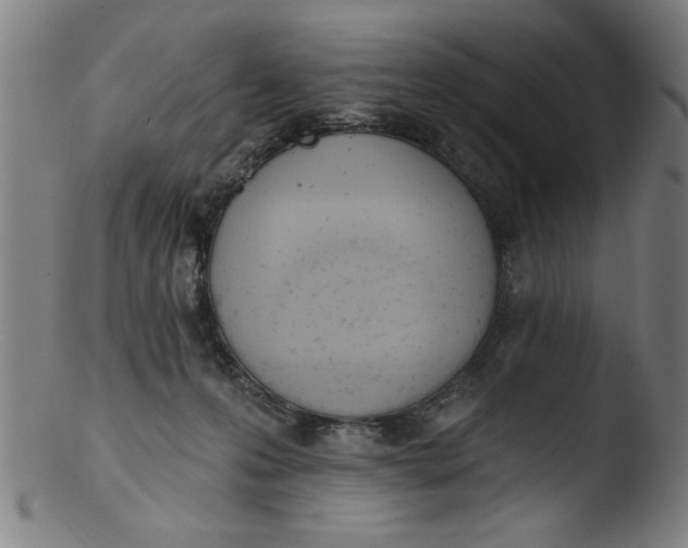 X0000103420223200809261715