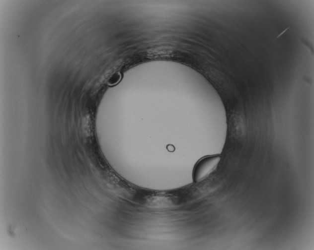 X0000103420224200809261715