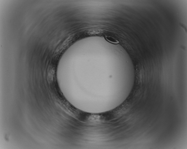 X0000103420227200809261715